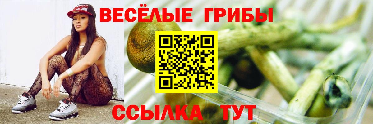 Елизово  Галлюциногенные грибы GOLDEN TEACHER  Вход с VPN 